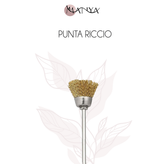 Punta riccio